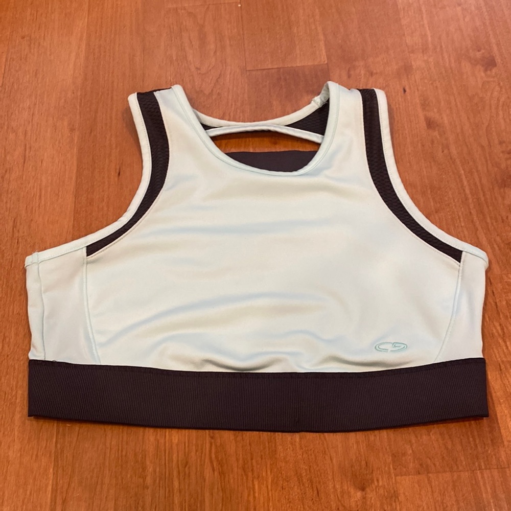 Champion Sports Bra